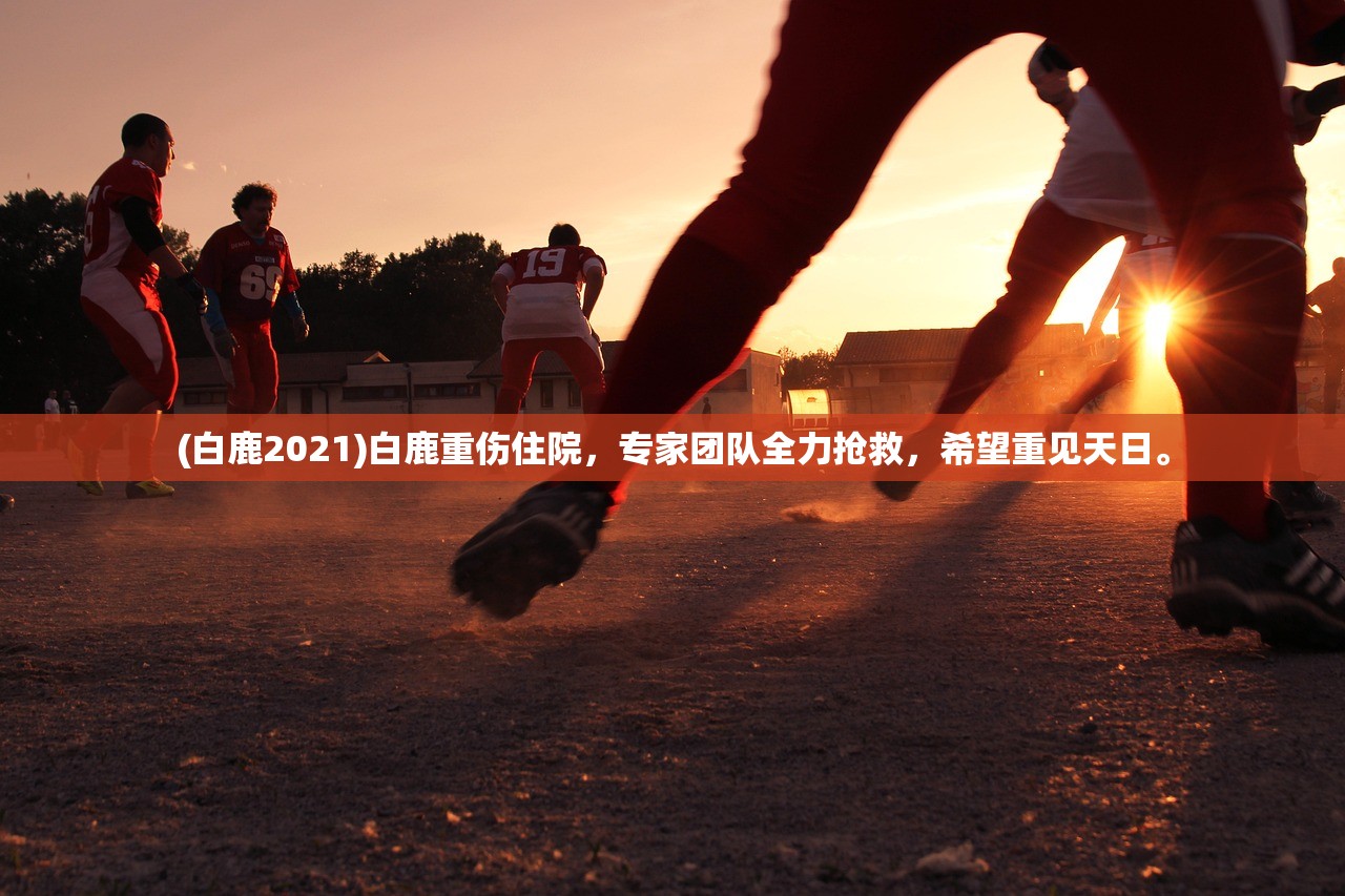 (新生代奥特曼之巅全集)新生代奥特之星第二季第八集：异次元之谜解开，真相浮出水面