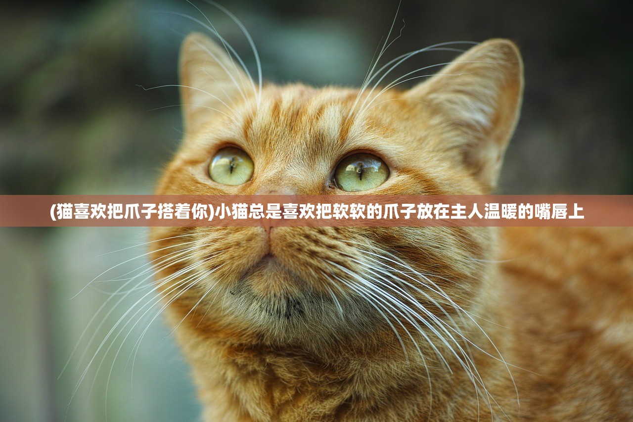(雷霆小分队无限钻石金币版)雷霆小分队薇买，选择98还是198，哪个更值得？