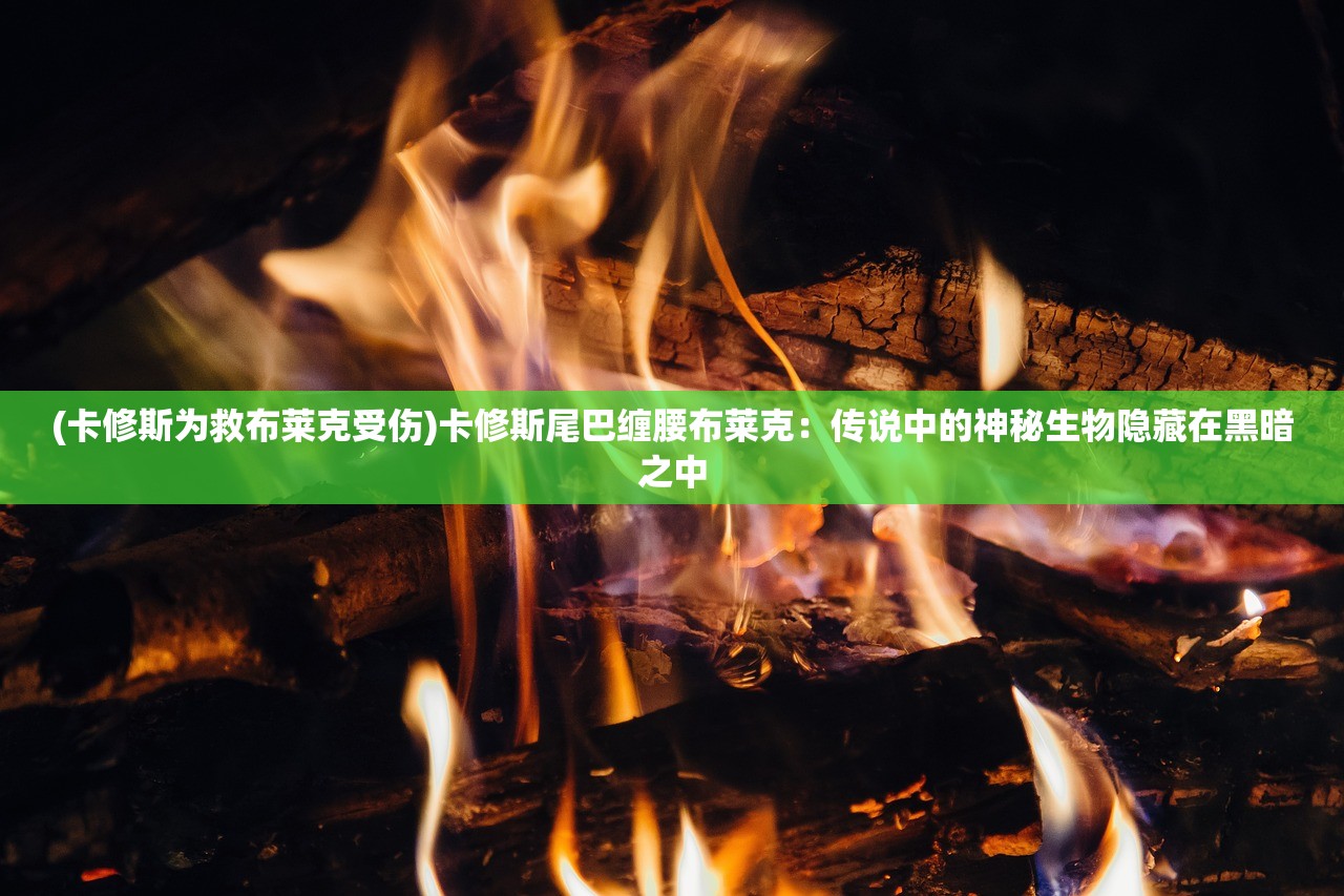 代号探戈第三关通关步骤及攻略分享，让你轻松过关！