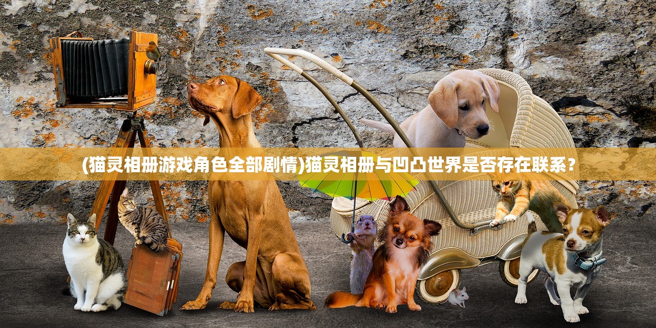 (穿越到《斗罗大陆》的小说有哪些?)穿越至斗罗大陆逆转时空之旅，美图记录人生传奇。
