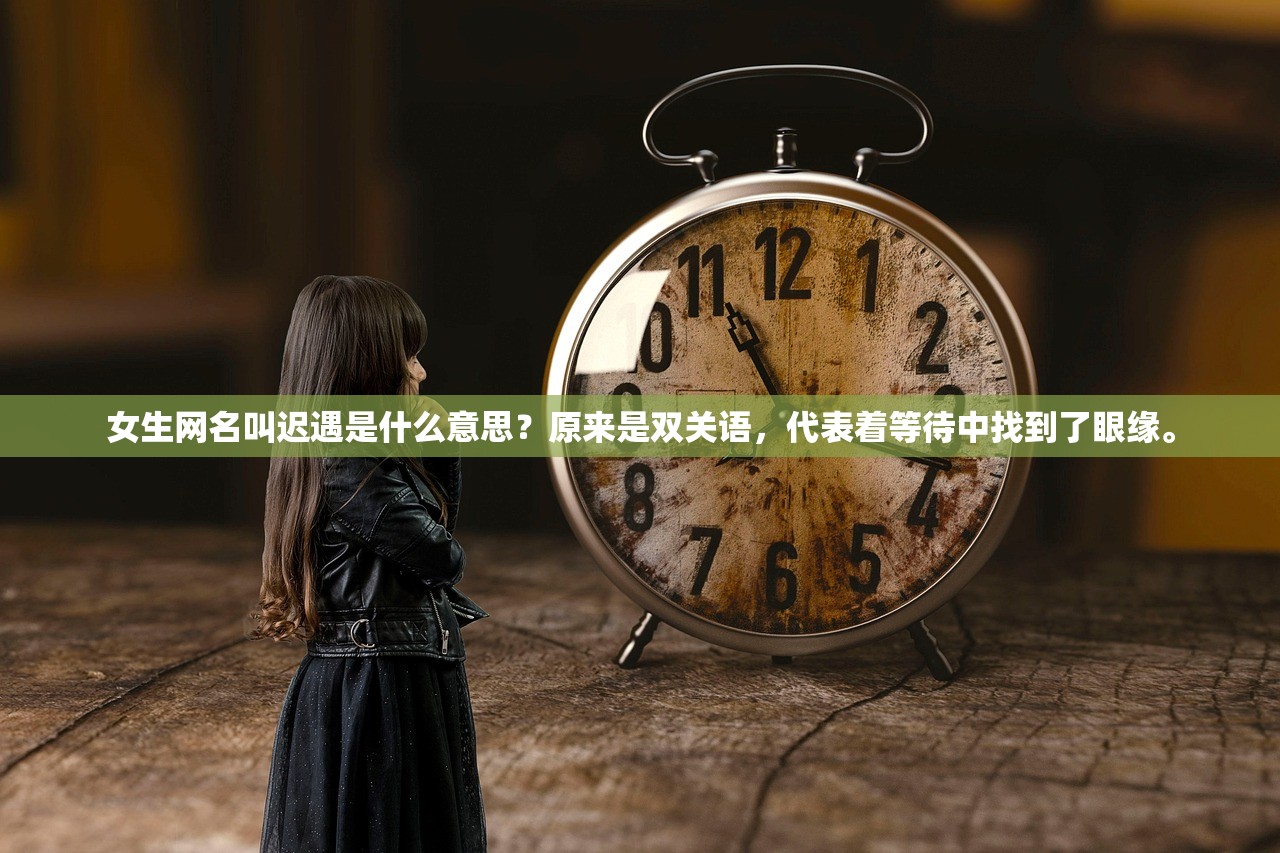 (遇见作文600字左右)遇见，美丽的偶然