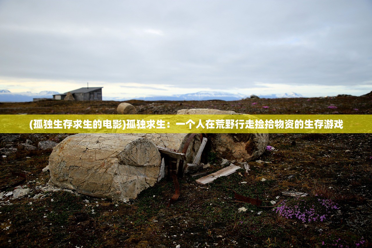 (魔域私sf官网)探寻最佳手游魔域私sf平台，畅玩精彩游戏体验