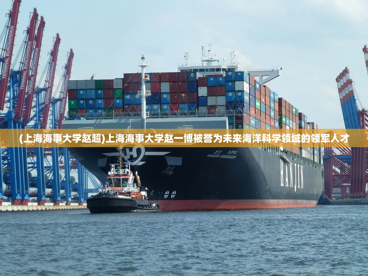 新2024年澳门天天开好彩|收益成语分析落实_D.3.280