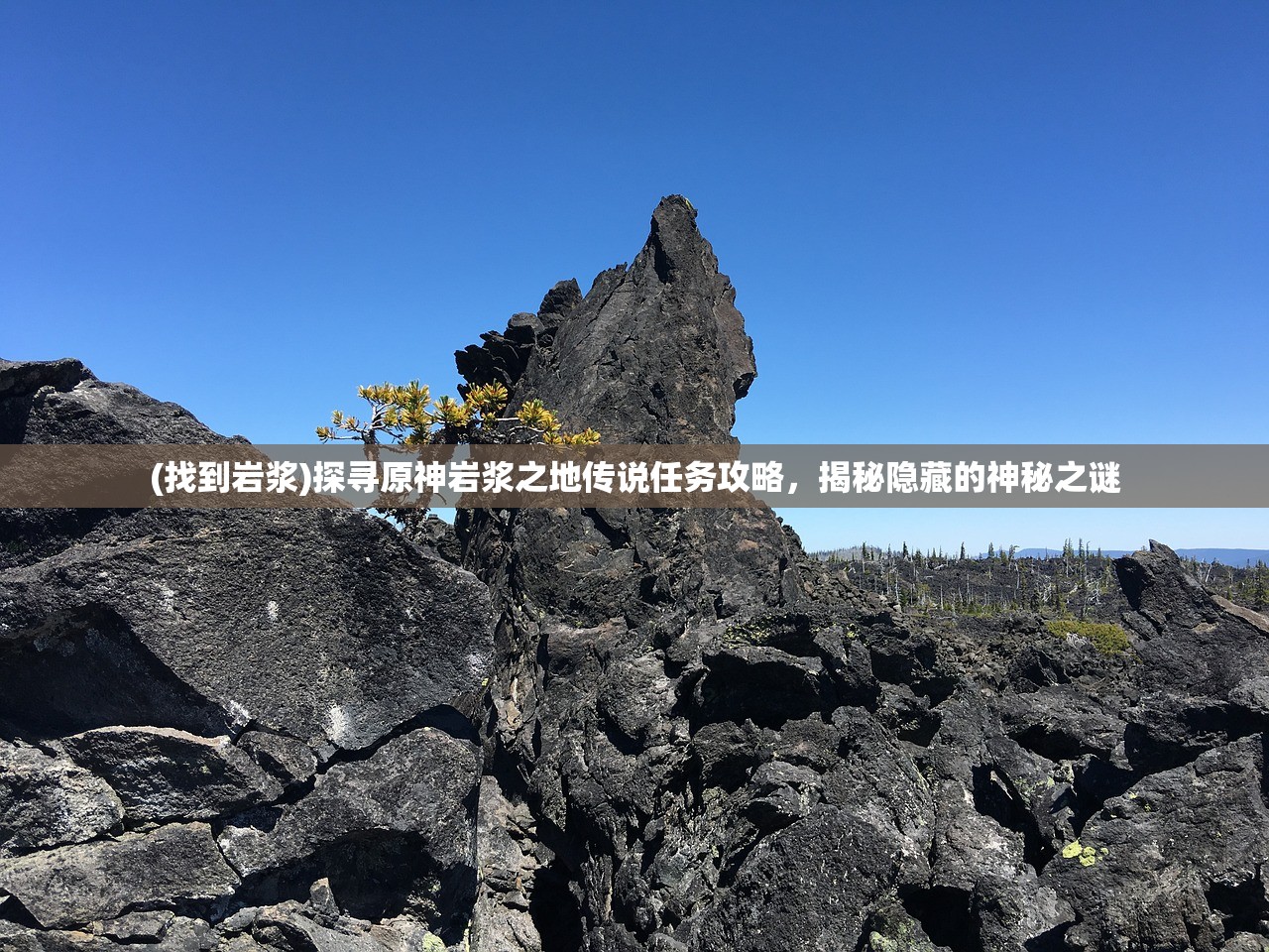 (前方高能阵容)前方高能最佳组合：不可错过的最强搭档合作！