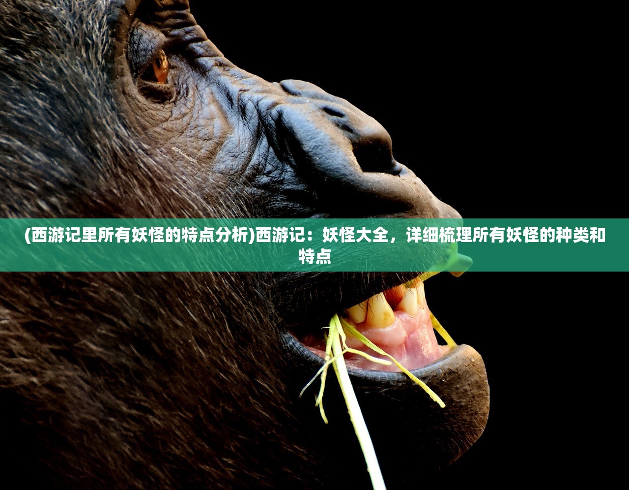 (小宝当皇上生娃攻略全集)小宝当皇上，生娃攻略及常见问题解答