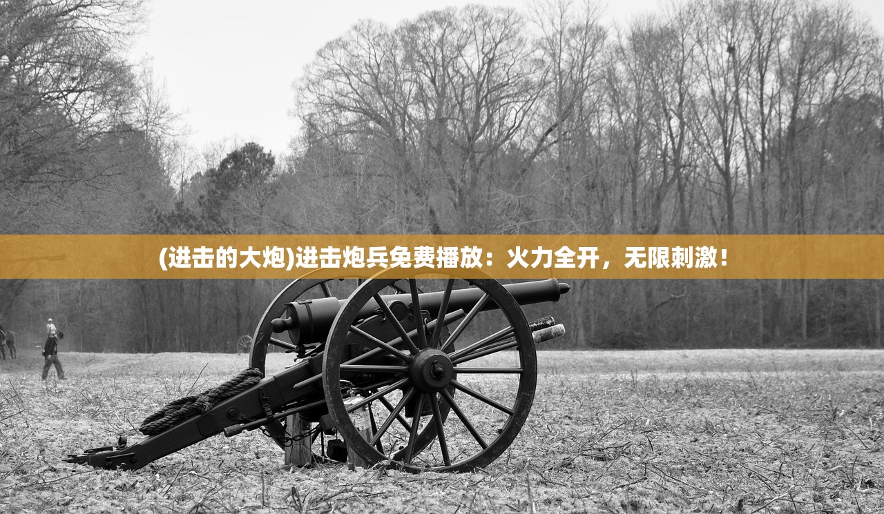 (进击的大炮)进击炮兵免费播放：火力全开，无限刺激！