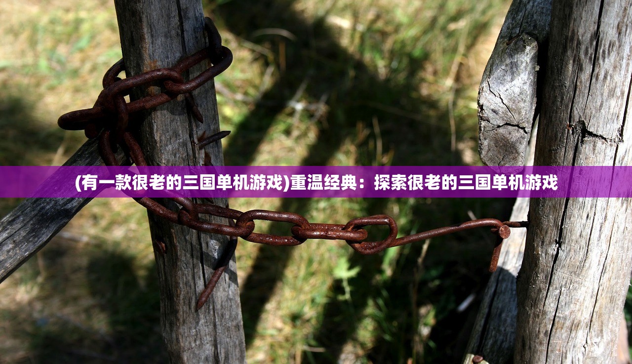 (战甲百科)探寻全新科技力作！战甲网官网盛大上线，尽享极致战甲体验