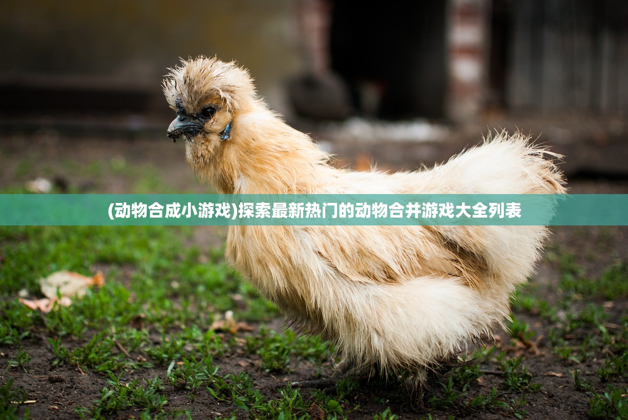 (qq飞车游戏账号交易平台)QQ飞车手游账号交易平台，快速安全交易，多重保障系统全程护航