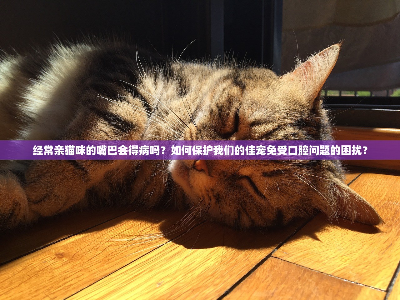 (生活很无助最穷困的时候怎么办)生活无望，人穷困潦倒，唯有诗歌陪伴我