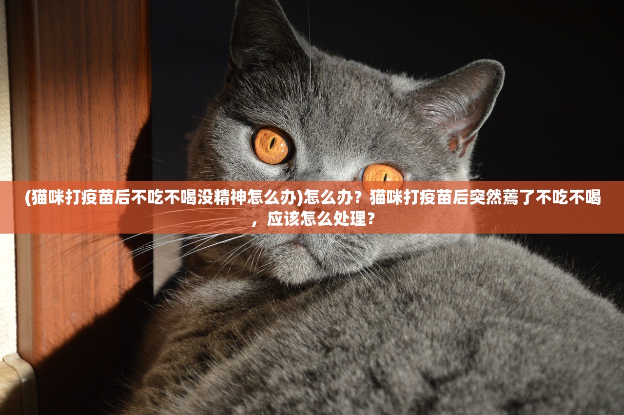 作者锦绣写的全部作品:风华绝代,文采飞扬,精彩纷呈,震撼人心 作者锦绣写的全部作品:风华绝代,文采飞扬,精彩纷呈,震撼人心