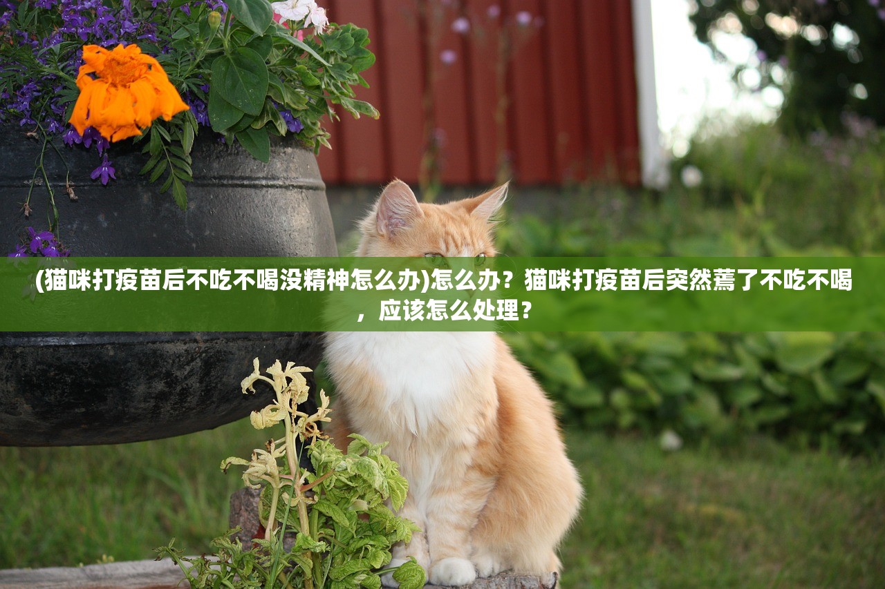 (伏魔情缘手游游戏)伏魔情缘手游，深度探索与常见问题解答