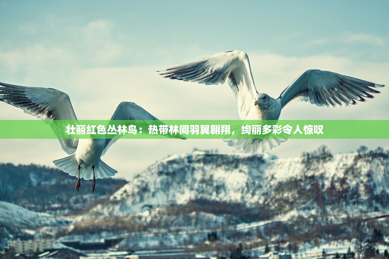 (公会勋章在哪里换)公会勋章在哪里获得？详细指南及攻略分享