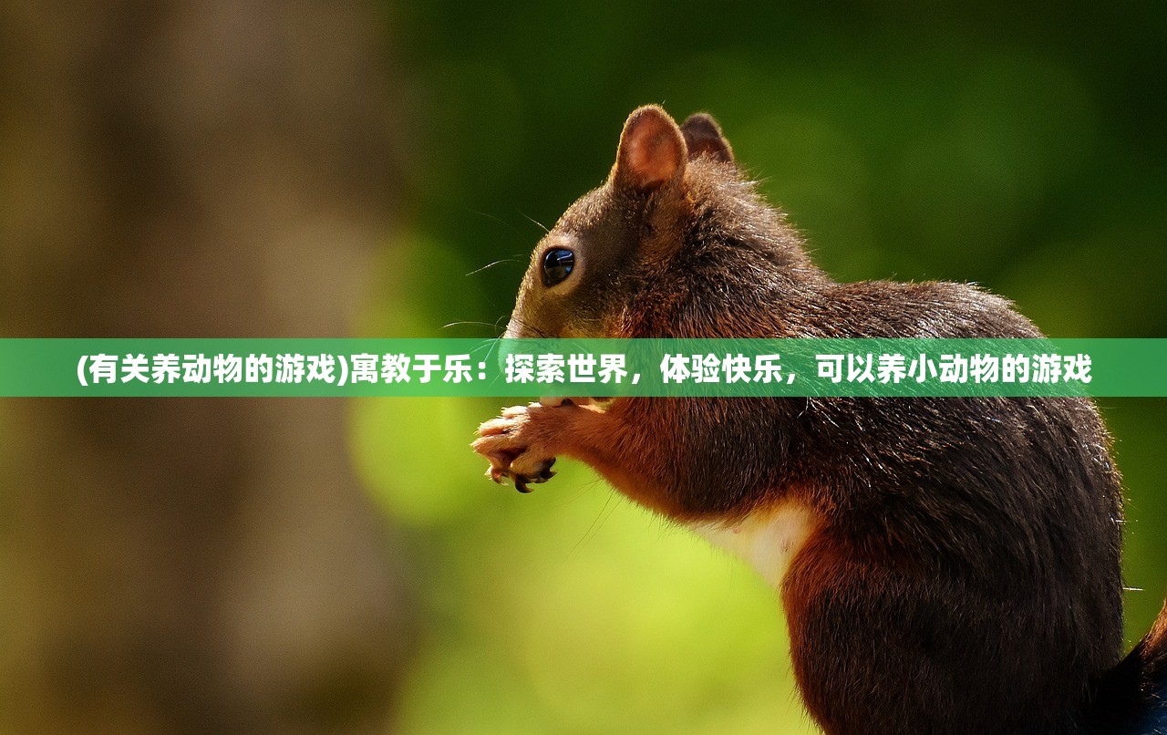 (有关养动物的游戏)寓教于乐：探索世界，体验快乐，可以养小动物的游戏