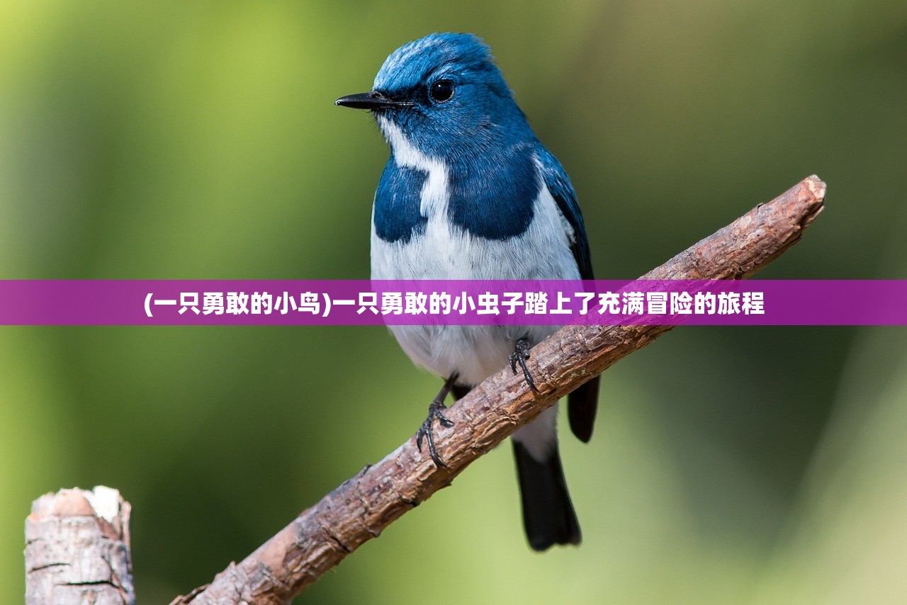 (一只勇敢的小鸟)一只勇敢的小虫子踏上了充满冒险的旅程