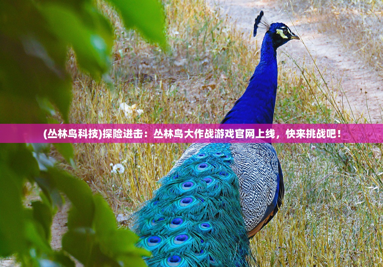 (掌门别挂机下载)掌门别挂机，免广告挑战与策略探讨