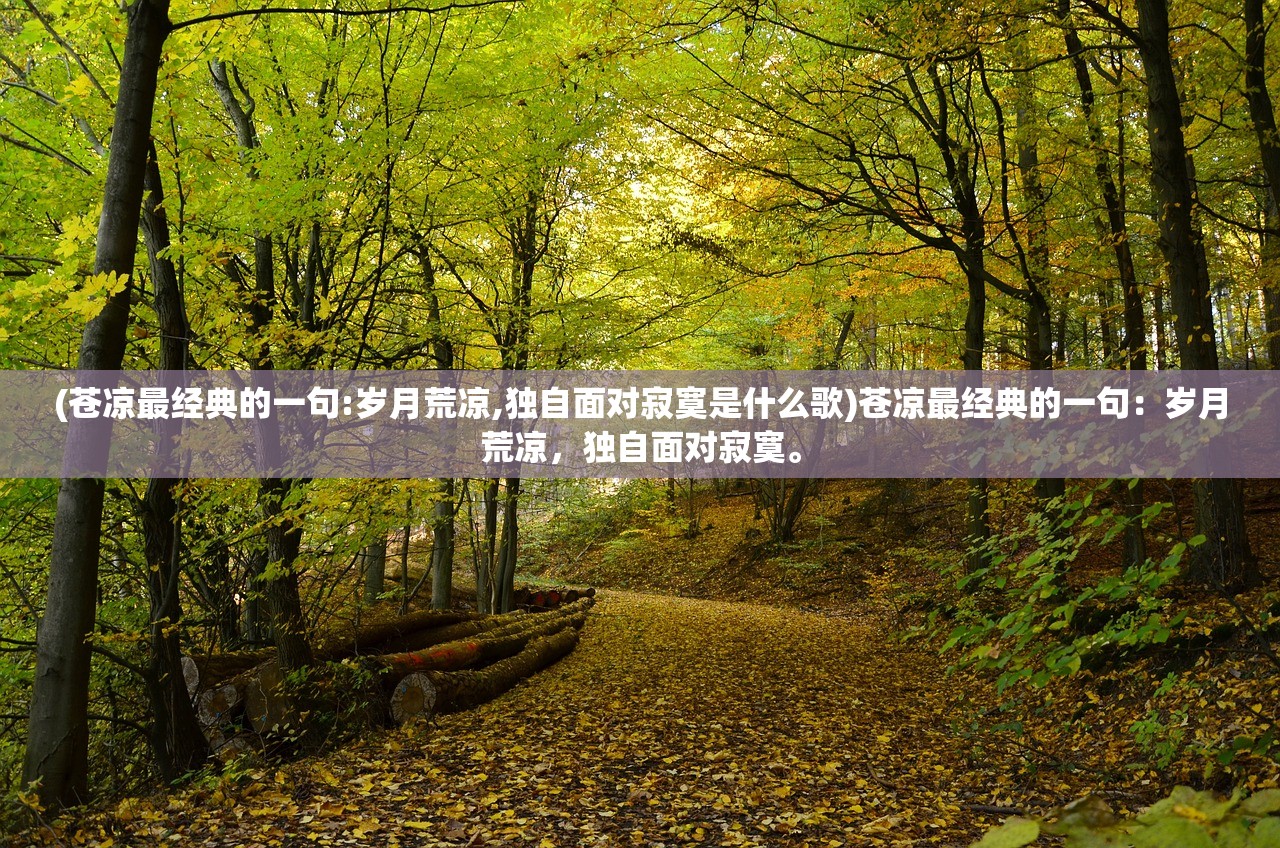 (部落战争攻略视频大全)部落战争攻略视频，从入门到精通的全面指南