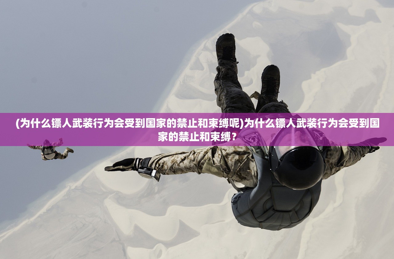 (消零世界为什么关服了)关于VGame消零世界下架原因的深度解析