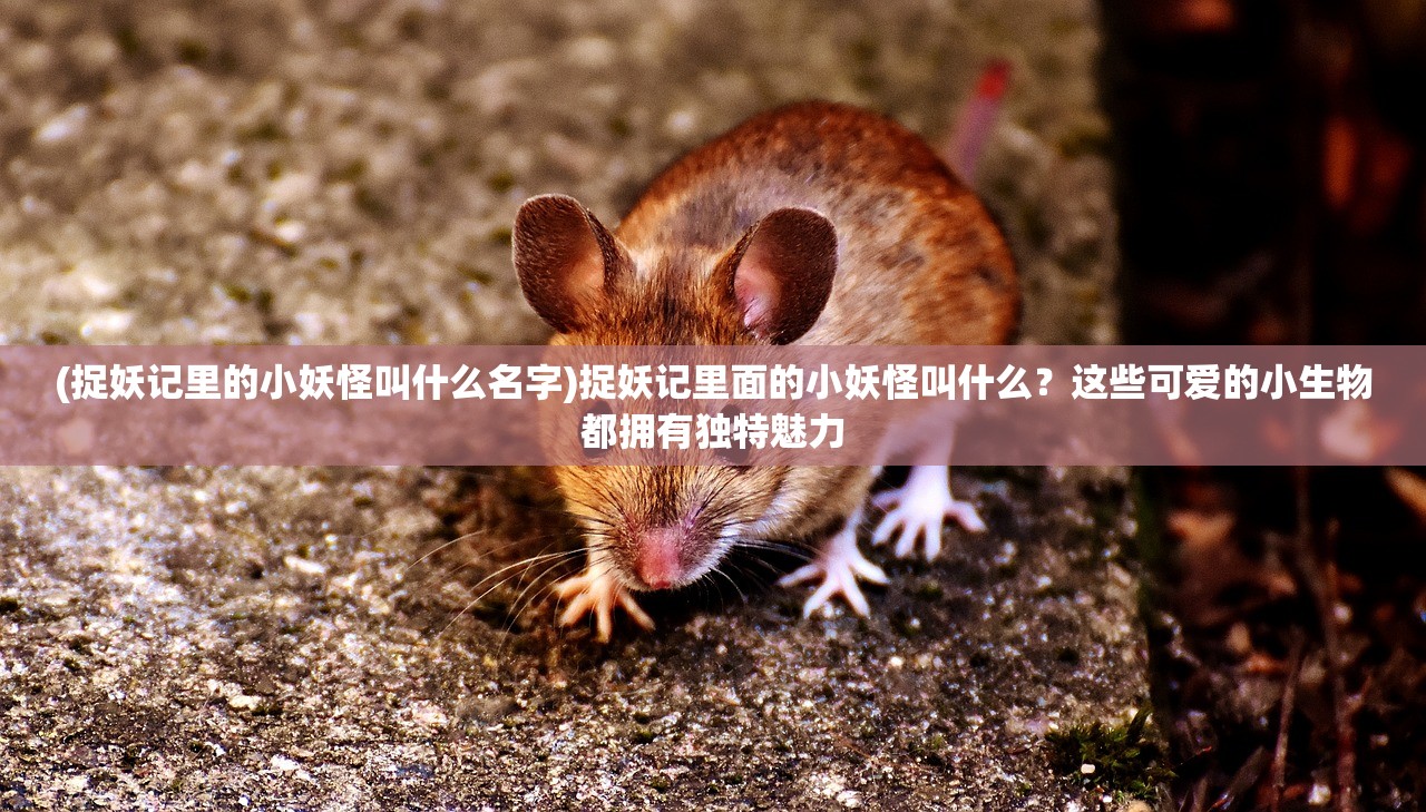 (捉妖记里的小妖怪叫什么名字)捉妖记里面的小妖怪叫什么？这些可爱的小生物都拥有独特魅力