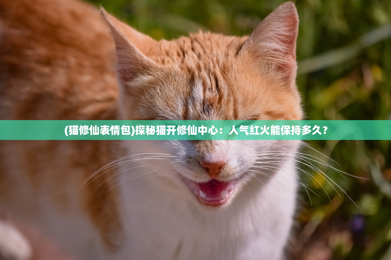 (猫修仙表情包)探秘猫开修仙中心:人气红火能保持多久? (猫修仙表情包)探秘猫开修仙中心:人气红火能保持多久?