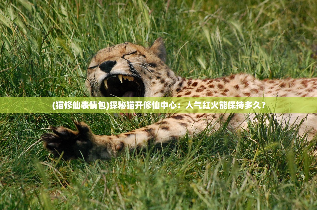 新澳六开彩开奖号码今天|实证解答解释落实_Deice.9.686
