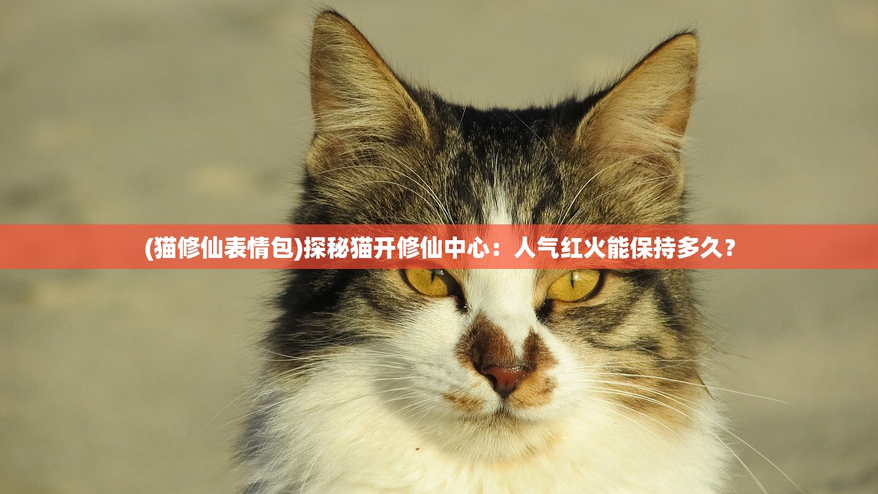 (猫修仙表情包)探秘猫开修仙中心:人气红火能保持多久? (猫修仙表情包)探秘猫开修仙中心:人气红火能保持多久?