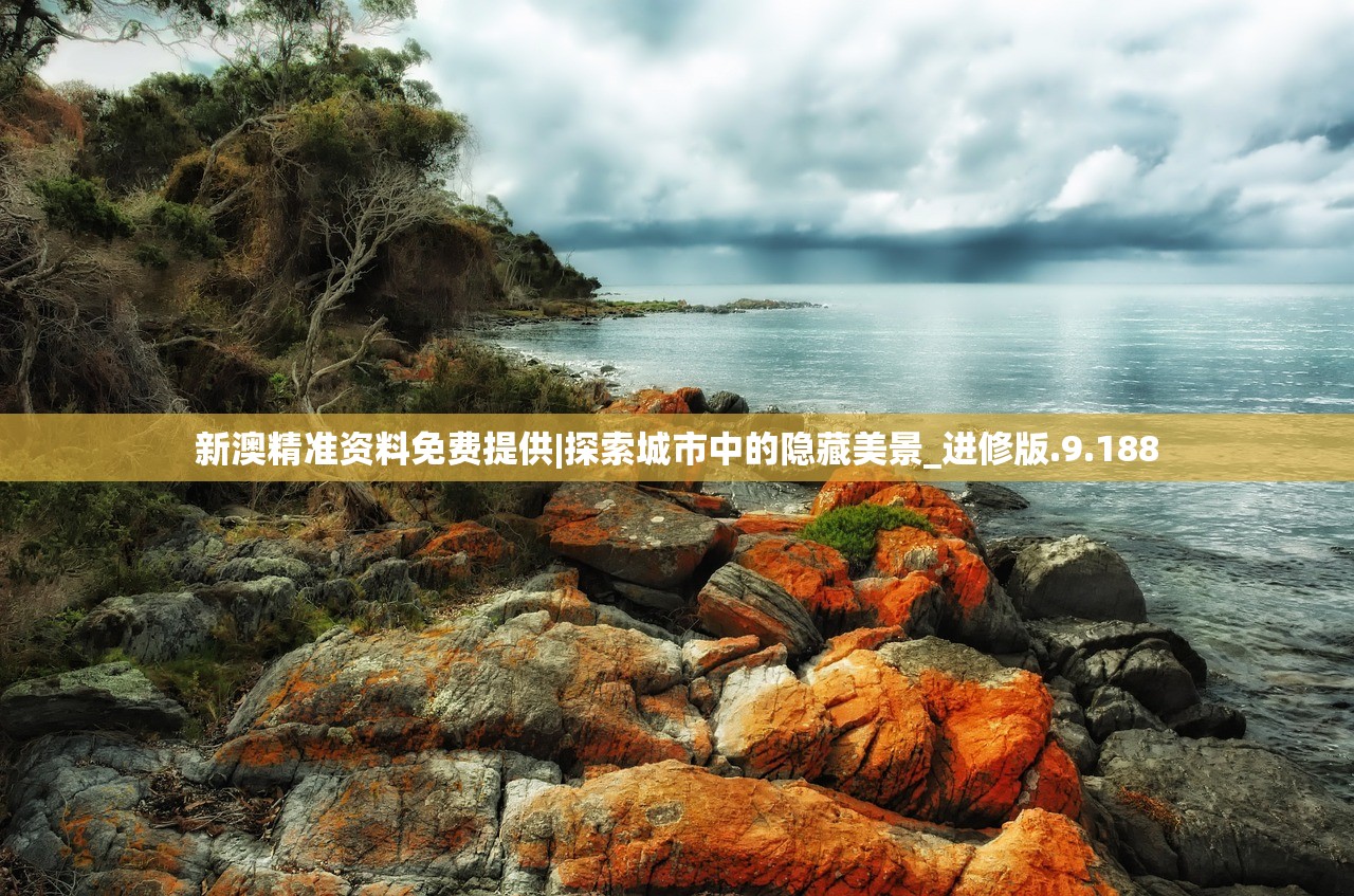 新澳精准资料免费提供|探索城市中的隐藏美景_进修版.9.188