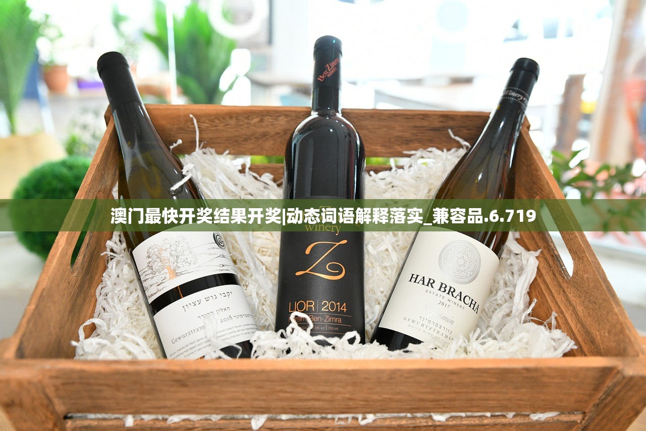 (瑰雪黑阳手游单机破解版)瑰雪黑阳手游，探索奇幻世界的新篇章