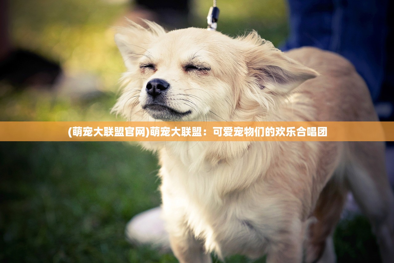 (qq小程序极限挑战3荣耀之战)极限挑战3荣耀之战内购，深度解析与常见问题解答