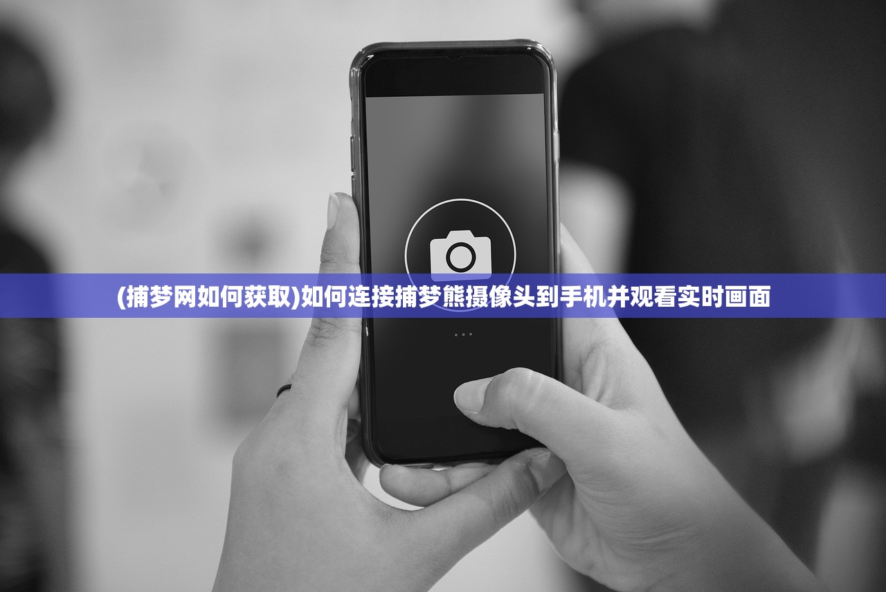 (军团战棋英雄时代全dlc下载)军团战棋英雄时代全DLC，深度解析与探索
