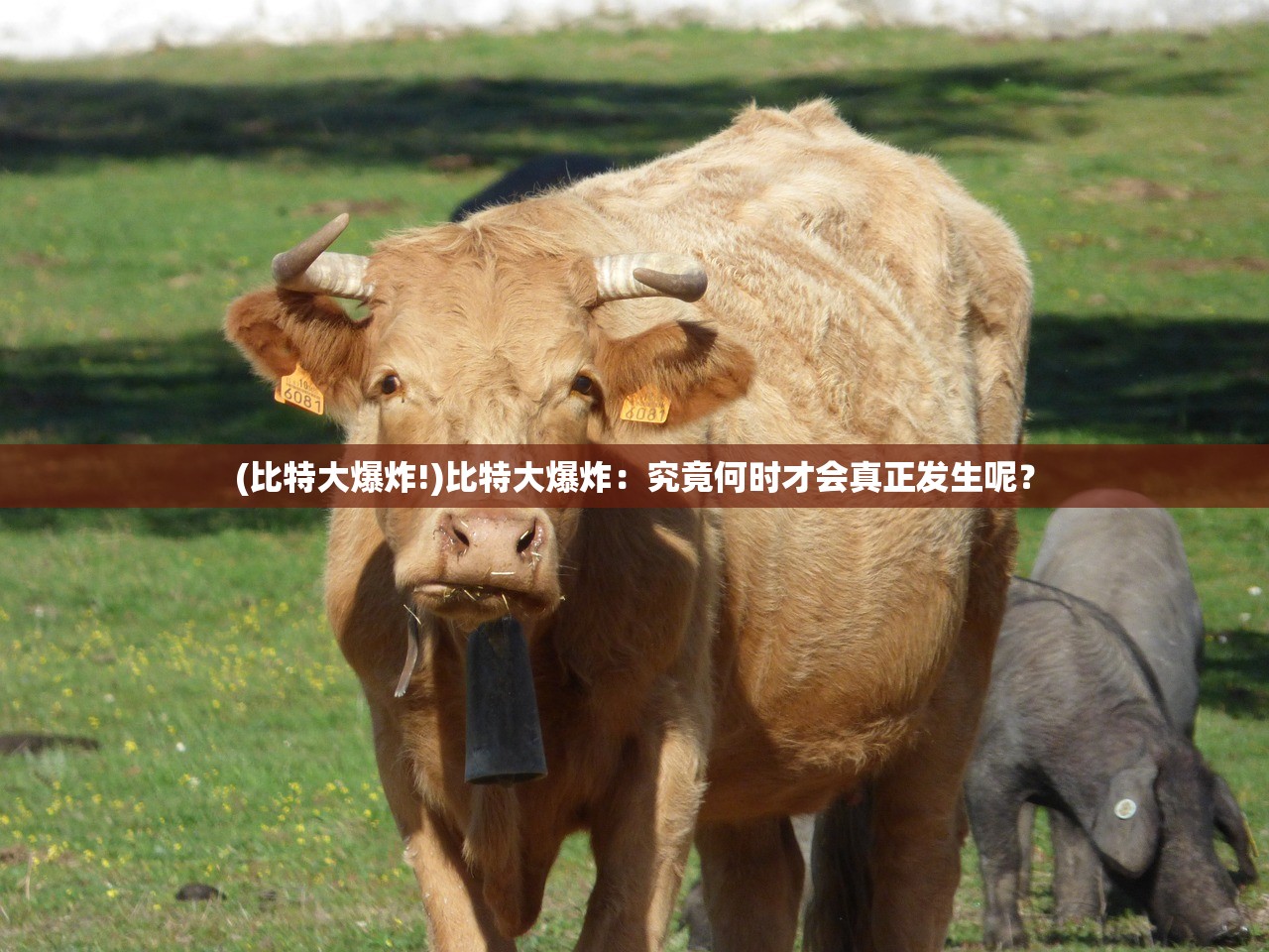 (貂蝉一技能名称图片及介绍)貂蝉一技能名称解析，华丽绽放的技能魅力