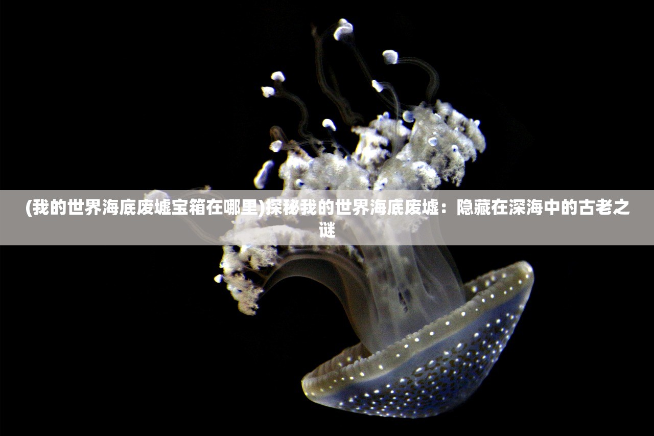 (城堡突袭2中文无限钻石版)城堡突袭2，无限钻石全英雄内购版深度解析与探讨