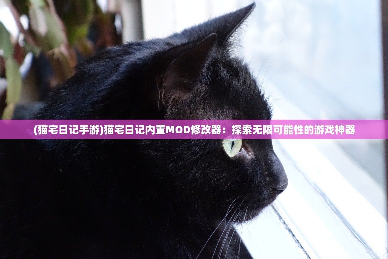 (八仙外传动画在线观看)八仙外传动画，传统神话的现代演绎