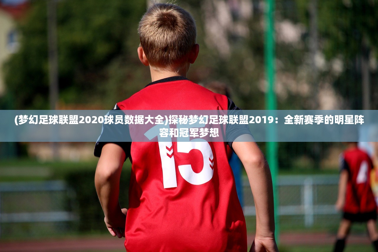 (梦幻足球联盟2020球员数据大全)探秘梦幻足球联盟2019：全新赛季的明星阵容和冠军梦想