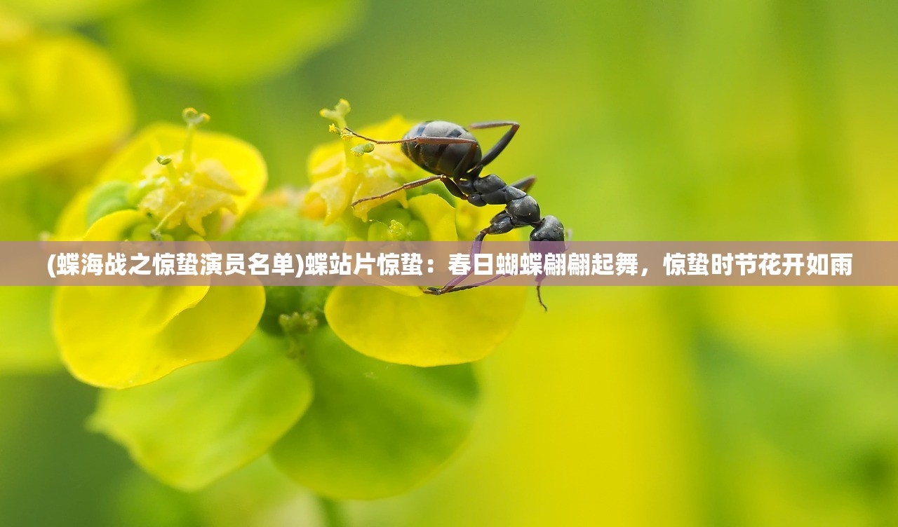 (小小战争哪出的)小小战争下架原因深度解析