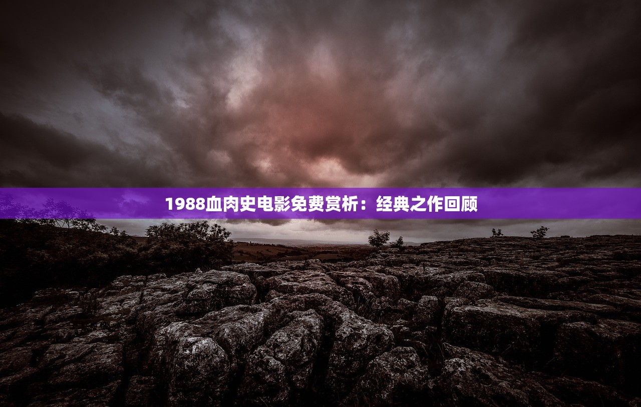 (永夜之役角色重置怎么弄)永夜之役角色深度解析与探讨