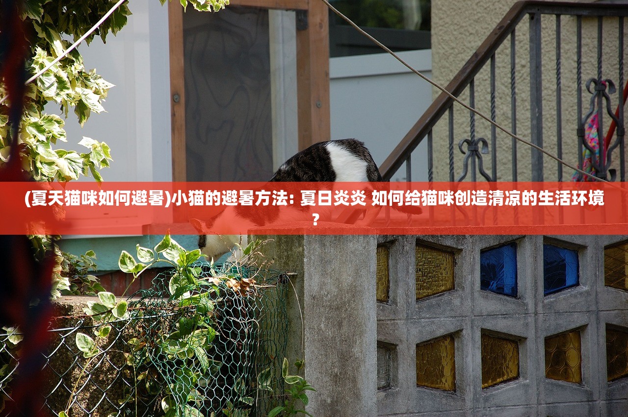(凛刃头发)凛刃，冷峻之刃的传奇故事