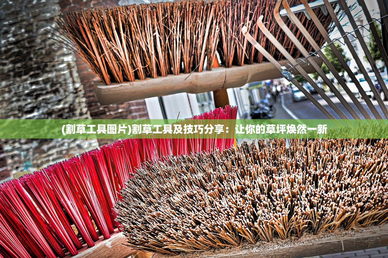 (火线战姬攻略)火线战姬最强阵容搭配攻略