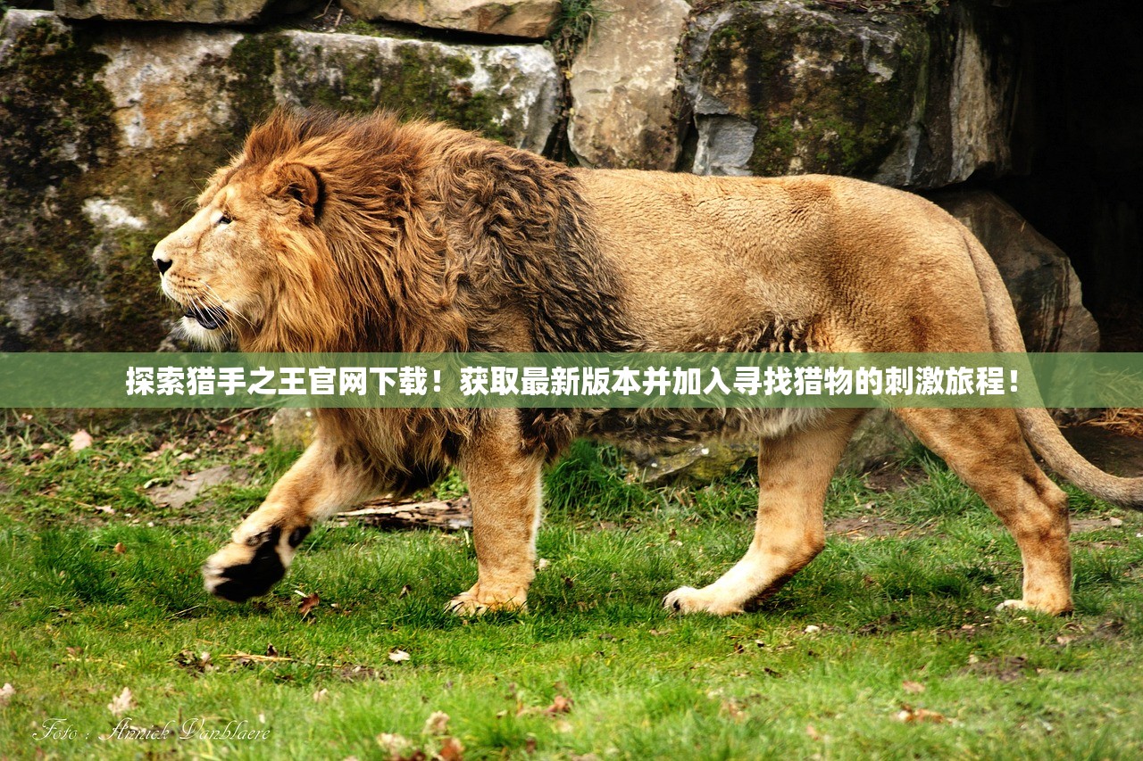 (烟雨柳影长安梦小说)烟影长安，迟攸之死揭秘