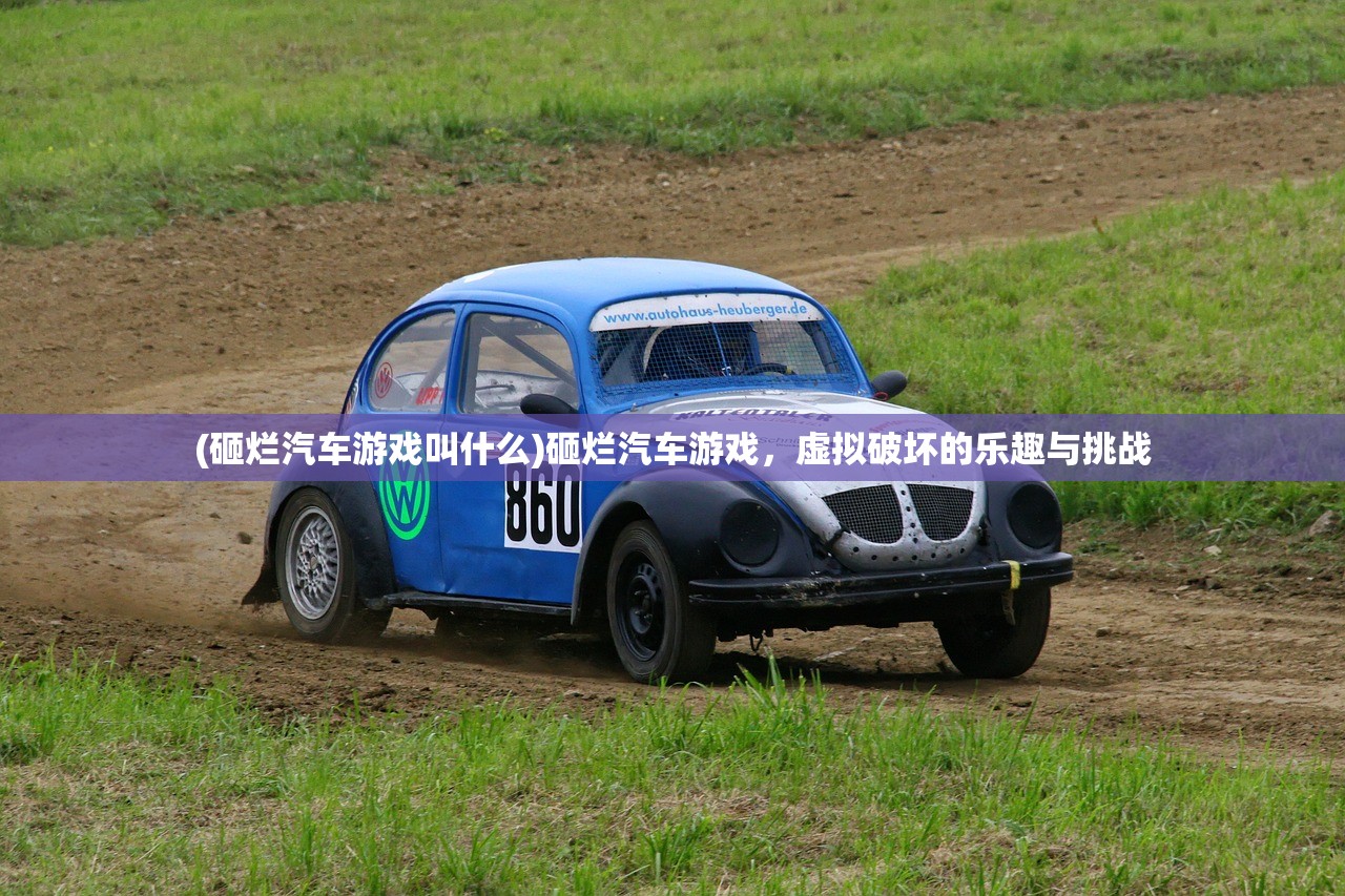 (雪鹰领主手游圣裁攻略)雪鹰领主手游圣裁，解析与探索