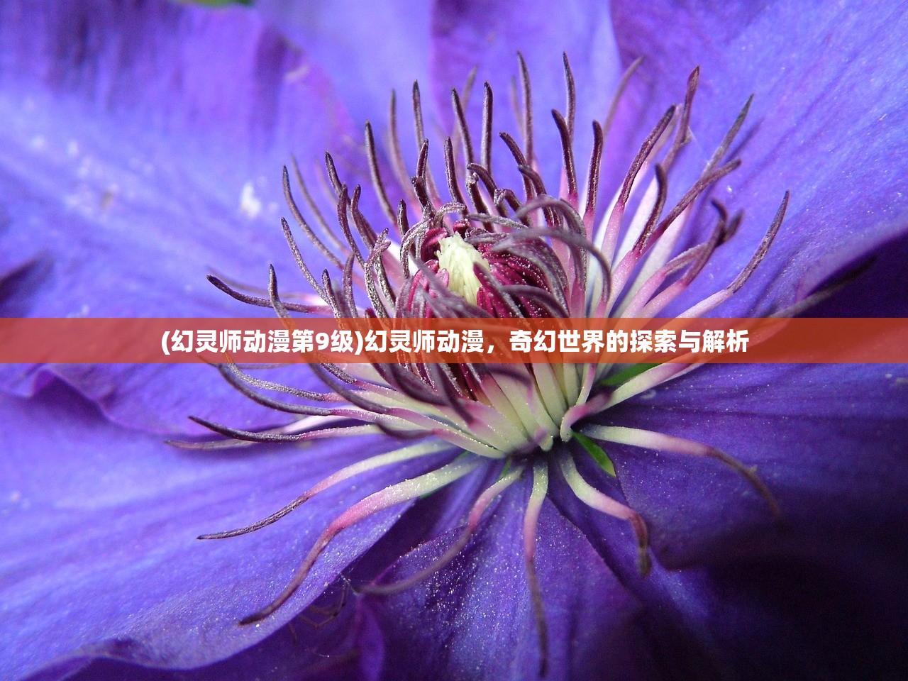 (江湖如此多妖破解版橙光)江湖如此多娇，黄油属性之谜与多元解读
