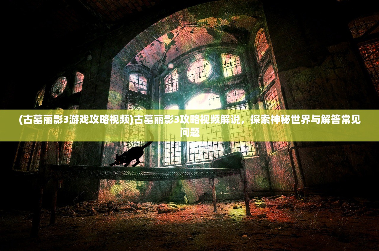 (金牌合伙人剧情介绍)金牌合伙人游戏，活动顺序详解与常见问题解答