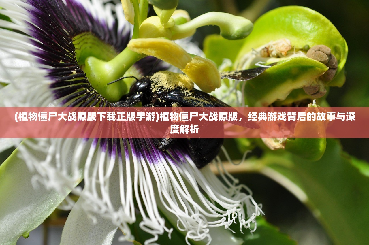 (美版盗墓迷城HD免费播放)美版盗墓迷城HD，探险与解谜的视听盛宴