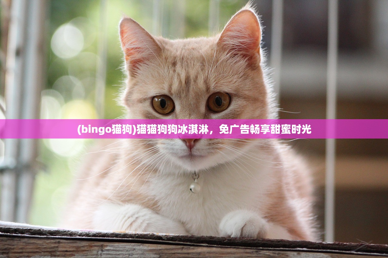 (bingo猫狗)猫猫狗狗冰淇淋，免广告畅享甜蜜时光