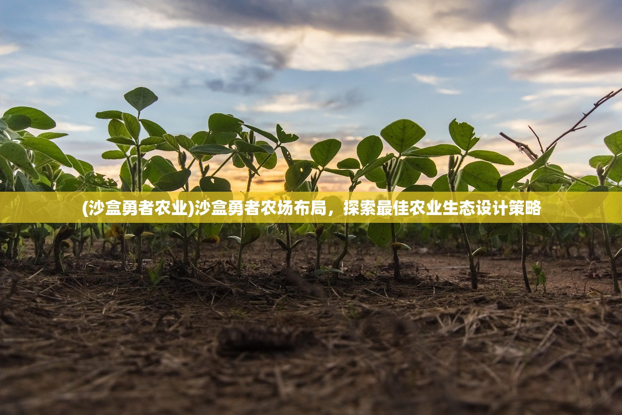 (沙盒勇者农业)沙盒勇者农场布局，探索最佳农业生态设计策略