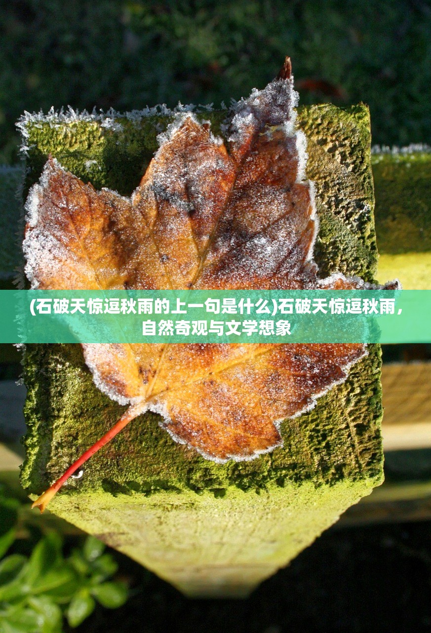 (石破天惊逗秋雨的上一句是什么)石破天惊逗秋雨，自然奇观与文学想象