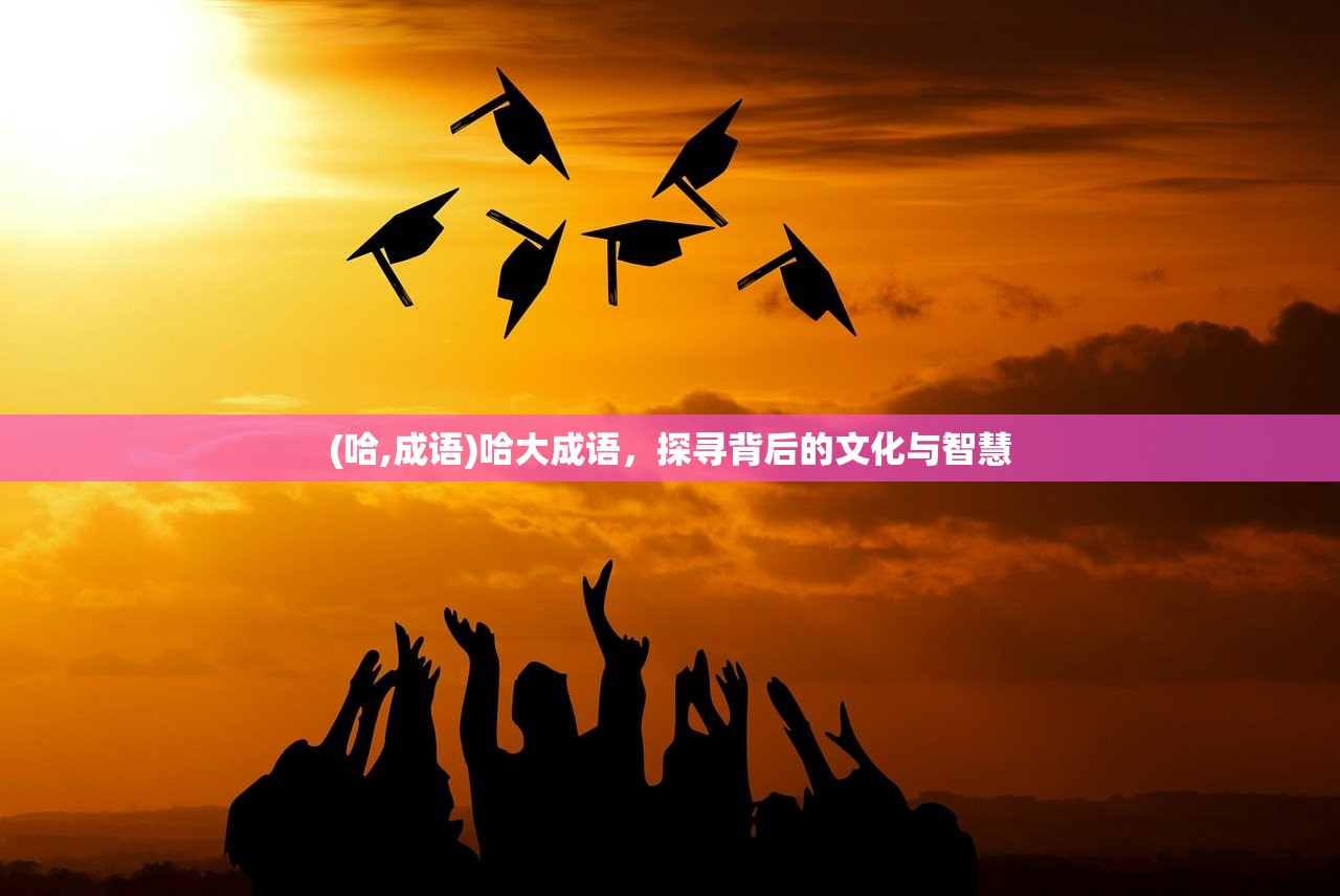 (表格什么软件好用又便宜)关于表格什么软件好，一款高效便捷的表格软件推荐与选择指南