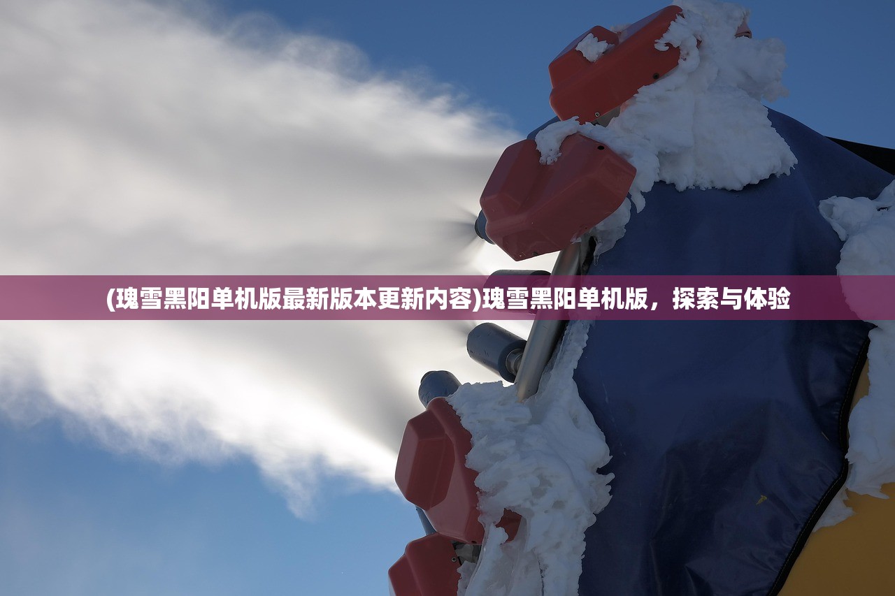 (瑰雪黑阳单机版最新版本更新内容)瑰雪黑阳单机版，探索与体验