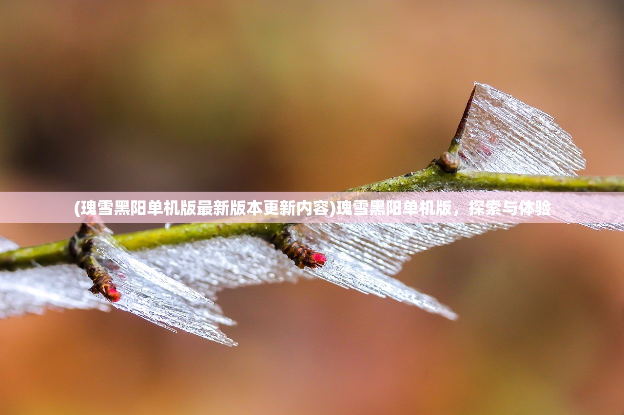 (瑰雪黑阳单机版最新版本更新内容)瑰雪黑阳单机版，探索与体验