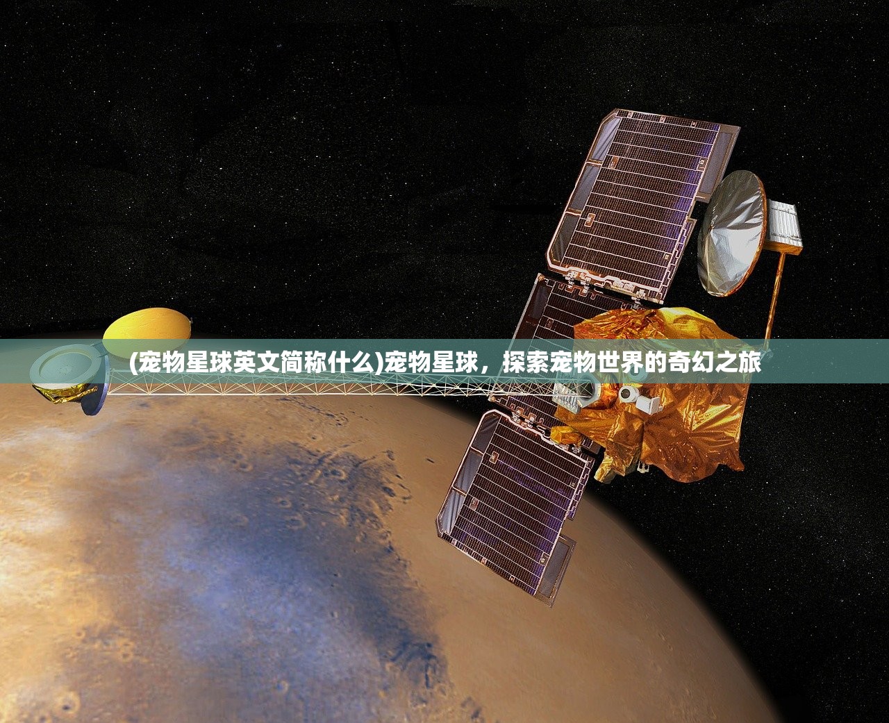 (阿卡丽攻略s8)阿卡丽攻略2022，掌握英雄技巧，轻松上分