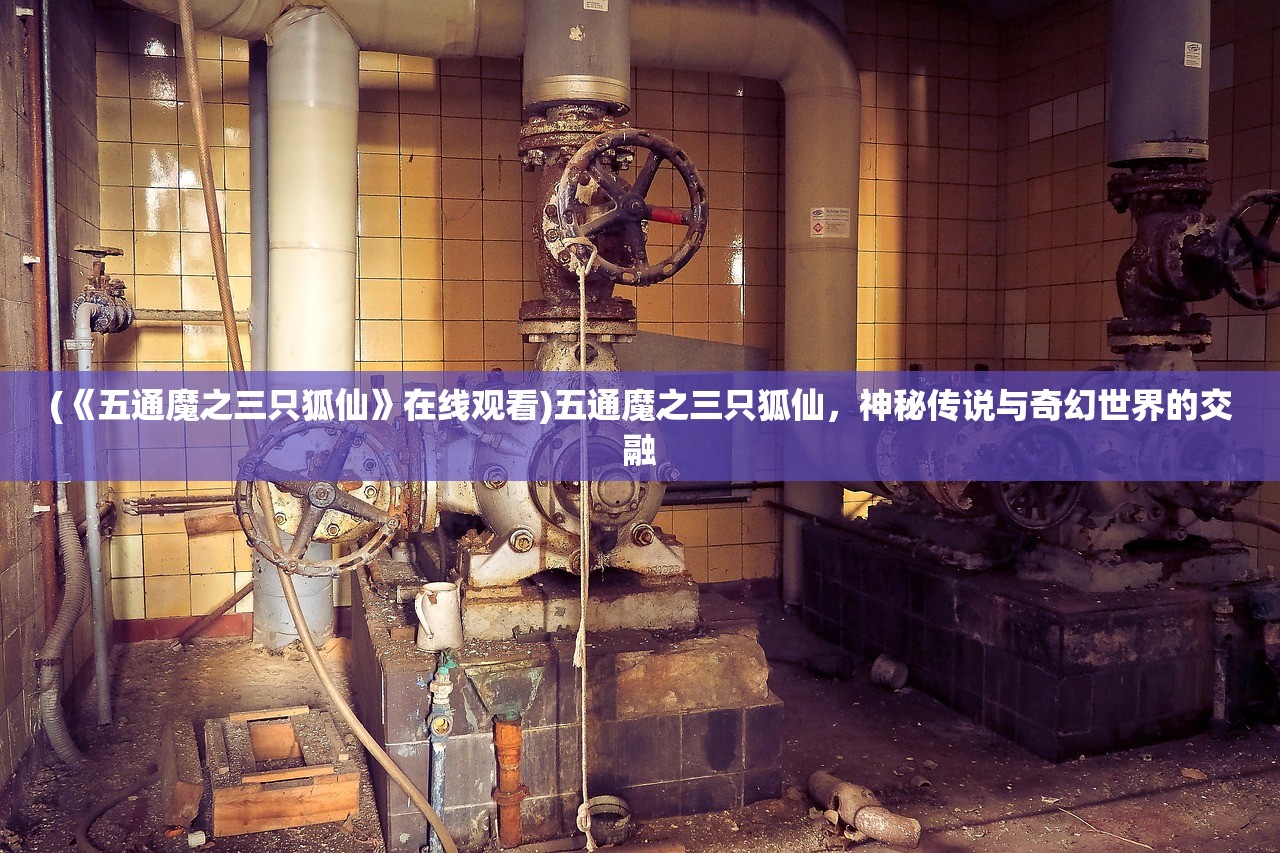 (拾忆张翰)拾忆，回忆的力量与情感的深度